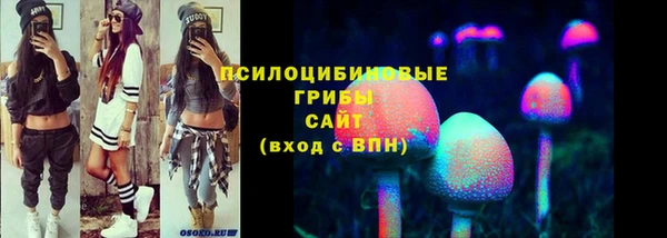 ешки Аркадак