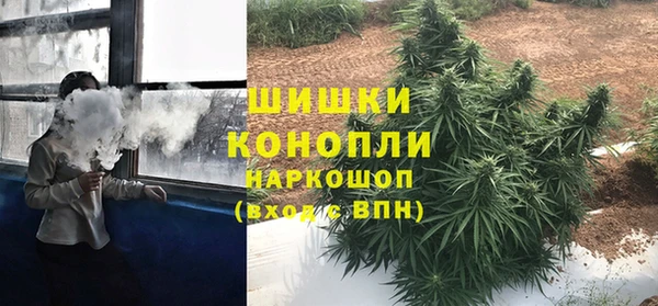 ешки Аркадак